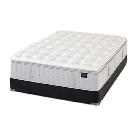 Queen Hybrid Plush Mattress and Foundation